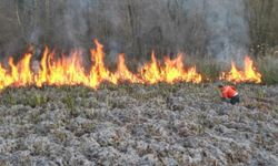 Ağaçlık alanda yangın çıktı, 100 dönümlük arazi kül oldu