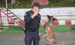 Jandarmanın hassas burnu "Şila" kanserden hayatını kaybetti