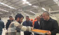 Depremzedelere yuva yapıyorlar