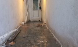 Kuzenini kurşun yağmuruna tutarak öldüren şüpheli yakalandı
