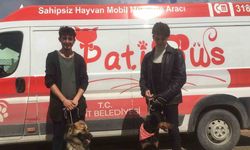 Patibüs ekibi Hatay’da hayvanların tedavi ve bakımlarını yapıyor