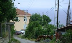 Şap nedeniyle bir ilçe karantinaya alındı