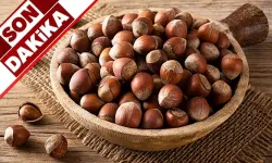 26 Nisan Çarşamba fındık fiyatları