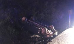 Alkollü sürücü ormanlık alana uçtu