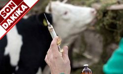 Şap alarmı: Karantina başladı