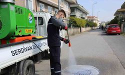 Belediye’den çevre dostu ilaçlama