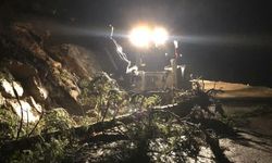 Heyelan sebebiyle kapanan köy yolu ulaşıma açıldı