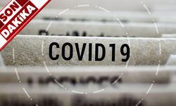5 aylık Corona Virüs tablosu açıklandı