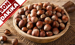 23 Nisan Pazar fındık fiyatları 