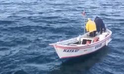 Ağlara takılan yunus 2 buçuk saatte kurtarıldı
