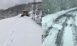 Zonguldak’ta ilkbaharın ortasında kar sürprizi