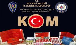 300 bin TL değerinde gümrük kaçağı hayvansal ilaç ele geçirildi