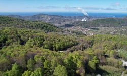 Zonguldak’ta bu ormanlara girişler yasaklandı