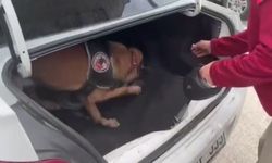 Aracın bagajına gizlenen uyuşturucu böyle bulundu