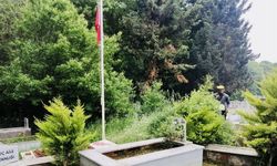Mezarlıkta yabani ot temizliği