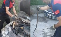 Otomobilin motor kısmından 2 metre yılan çıktı