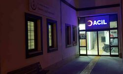 Ailesinin topladığı mantardan yedi, yoğun bakımlık oldu