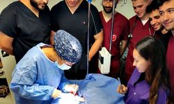 Hayvan hastanesi, hizmet vermeye başladı