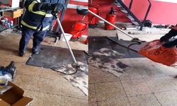 İş yerine giren yılanı itfaiye ekipleri yakaladı