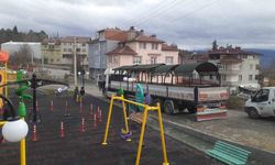 Kamelya üretiminde rekor kırdı