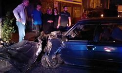 Kontrolden çıkan otomobil trafik levhasına çarptı: 1 yaralı