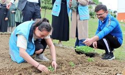 Öğrenciler sebze fidanı dikti