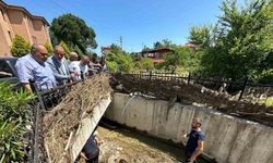 Yusuf Aldatmaz Amasra Horhor deresinde incelemelerde bulundu