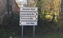 1 yıl ara ile sandık başına gidecekler 