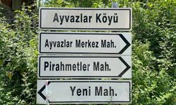 Bu köyde insanlar iletişim kurabilmek için dağlara çıkıyor