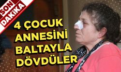 Dört çocuk annesini baltayla dövdüler