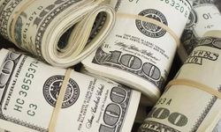 Halk Otobüsünde 1700 dolarını düşürdü