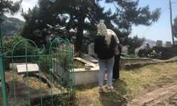 Mezarlıkta kene paniği