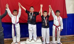 Taekwondo şampiyonasına EMD damga vurdu
