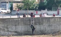 Çaresizce kurtarılmayı bekledi: İmdadına itfaiye ekipleri yetişti