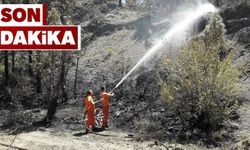 Orman yangını: Söndürme çalışması devam ediyor