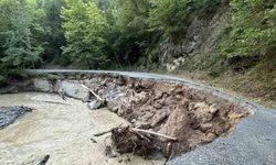 Yolunun çökmesi sebebiyle yol trafiğe kapandı