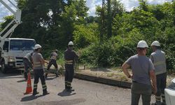 Bin personel, 400 araçla sahada mücadele verdi