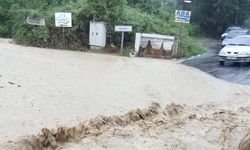 Dere taştı: Köprü ulaşıma kapandı
