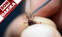 Kene vakalarında artış görüldü