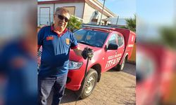 Kozlu'da yılan operasyonu