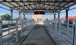 Şap hastalığında alınan numuneler pozitif çıktı, kısmi karantina başladı