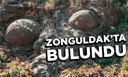 Zonguldak’ta bulundu: Böylesi daha önce görülmedi
