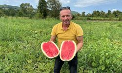 Batı Karadeniz’de 5 yılda 750 ton karpuz üretti