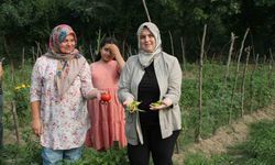 Ata tohum ile yerel çeşitler korunuyor