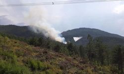Orman yangını: Ekipler olay yerinde