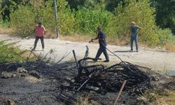 Örtü yangını büyümeden söndürüldü