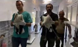 Göç sırasında yaralanan leylekler, tedavisinin ardından doğaya bırakıldı