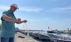 Balıkçılar yeni sezonda hamsi ve lüferden ümitli