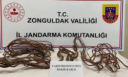 Kablo hırsızı yakalandı