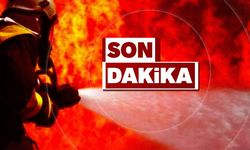 Kozlu Sahil Yolu’nda araç yangını: Ekipler olay yerinde